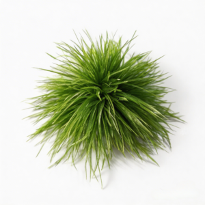 Classic Olive Green Ostrich Feather Brooch Statement Piece for Gala & Evening Wear，vintage style