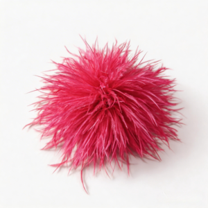 Red Ostrich Feather Brooch