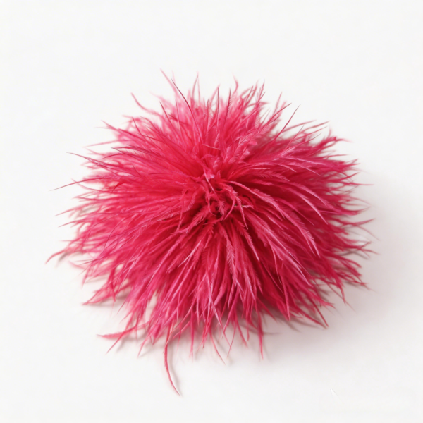 Red Ostrich Feather Brooch