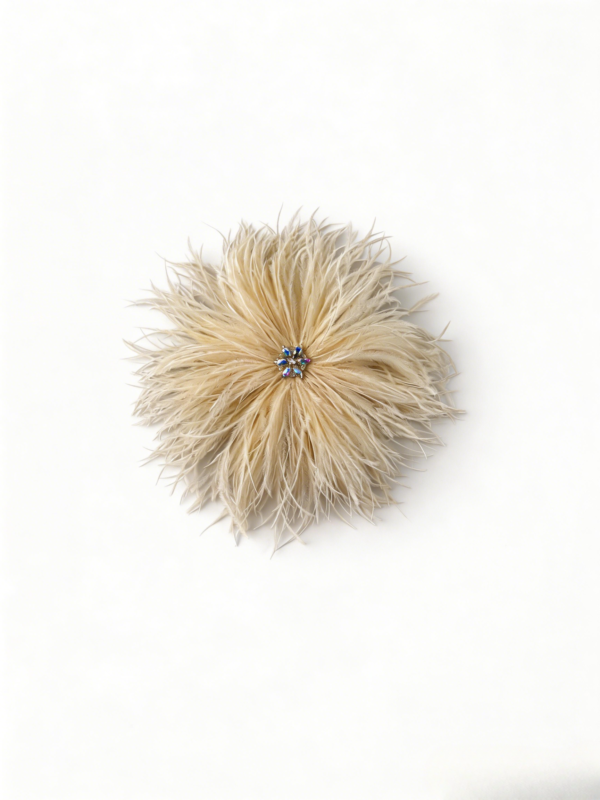 Champagne Rhinestone Ostrich Feather Brooch ,Statement Accessory，evening gowns