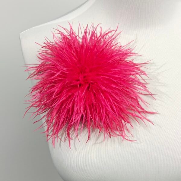 Red Ostrich Feather Brooch